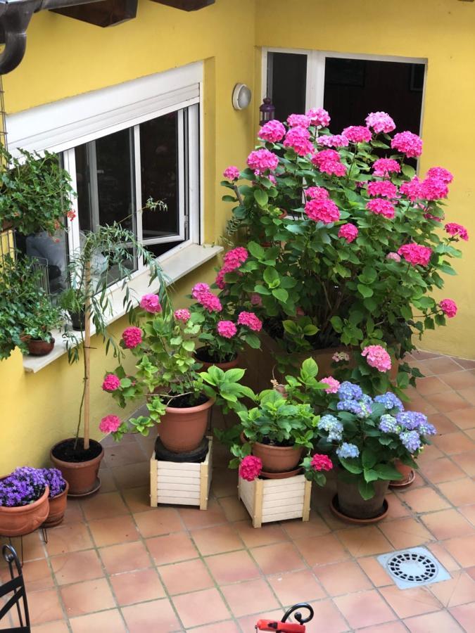 Hostal Escartin Sabiñánigo Kültér fotó
